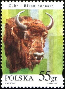 Colnect-3808-704-European-Bison-Bison-bonasus.jpg