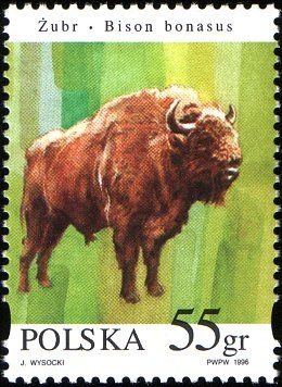 Colnect-3808-710-European-Bison-Bison-bonasus.jpg