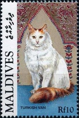 Colnect-4177-113-Turkish-Van-Felis-silvestris-catus.jpg