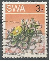 Colnect-5144-216-Titanopsis-schwantesli.jpg