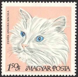 Colnect-590-888-White-Persian-Felis-silvestris-catus.jpg