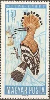 Colnect-591-921-Eurasian-Hoopoe-Upupa-epops.jpg