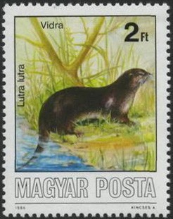 Colnect-604-505-Eurasian-Otter-Lutra-lutra.jpg