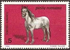 Colnect-743-505-Semigreu-Romanesc-Equus-ferus-caballus.jpg