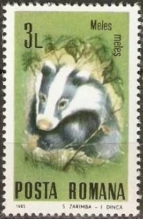 Colnect-743-545-European-badger-Meles-meles.jpg