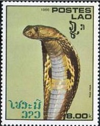 Colnect-830-041-Indian-Cobra-Naja-naja.jpg