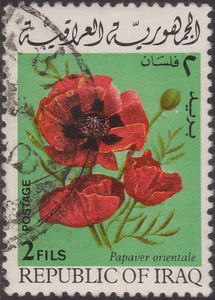 Colnect-1506-578-Papaver-orientale.jpg