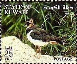 Colnect-2556-635-Northern-Lapwing%C2%A0Vanellus-vanellus.jpg