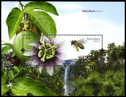 Colnect-2710-361-Bee-Apis-sp-approaching-a-Passionflower.jpg