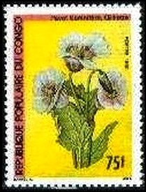 Colnect-2925-429-Papaver-somniferum.jpg