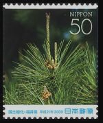 Colnect-4064-805-Japanese-Red-Pine.jpg