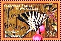 Colnect-4747-141-Graphium-antiphates.jpg