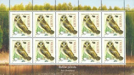 Colnect-1072-931-Short-eared-Owl-Asio-flammeus.jpg