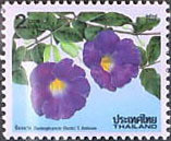 Colnect-1433-703-New-Year--Thunbergia-erecta.jpg