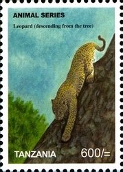 Colnect-1692-512-Leopard-Panthera-pardus.jpg