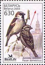 Colnect-191-525-House-Sparrow-Passer-domesticus.jpg