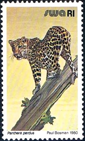 Colnect-2221-702-Leopard-Panthera-pardus.jpg