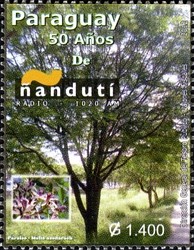 Colnect-2369-775-50-Years-of-Nanduti-Radio.jpg