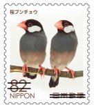 Colnect-3821-314-Java-Sparrows-Padda-Oryzivora.jpg