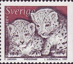 Colnect-434-670-Snow-Leopard-Panthera-uncia-cubs.jpg