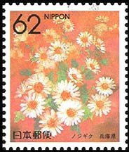 Colnect-512-955-Marguerites-Hyogo.jpg