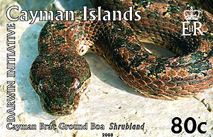 Colnect-598-092-Cayman-Island-Dwarf-Boa-Tropidophis-caymanensis.jpg