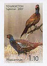 Colnect-1103-167-Common-Pheasant-Phasianus-colchicus.jpg