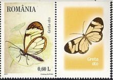 Colnect-1396-752-Glasswing-Greta-oto.jpg