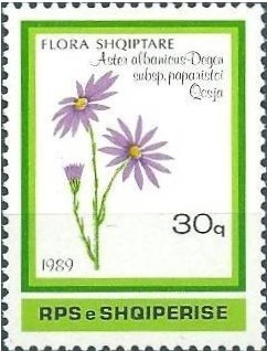 Colnect-1495-441-Aster-albanicus.jpg