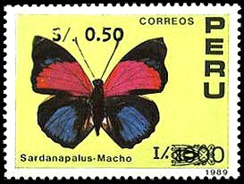 Colnect-1662-222-Claudina-Agrias-Agrias-claudina-ssp-sardanapalus---Male.jpg