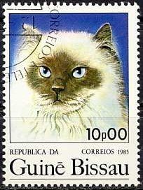 Colnect-1097-933-Domestic-Cat-Felis-silvestris-catus.jpg