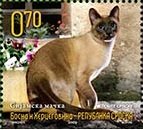 Colnect-1306-635-Siamese-Cat-Felis-silvestris-catus.jpg