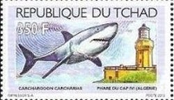 Colnect-1675-763-Cap-Ivi-Algeria---Great-White-Shark-Carcharodon-carcharias.jpg