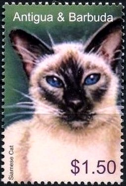 Colnect-3418-696-Siamese-Cat-Felis-silvestris-catus.jpg