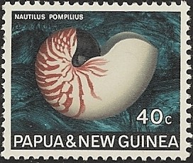 Colnect-1553-043-Chambered-Nautilus-Nautilus-pompilius.jpg