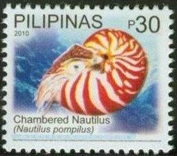 Colnect-1832-636-Chambered-Nautilus-Nautilus-pompilius.jpg