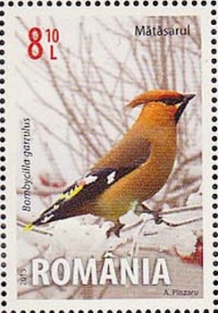 Colnect-2512-946-Bohemian-waxwing-Bombycilla-garrulus.jpg