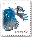 Colnect-4228-596-Blue-Jay-Cyanocitta-cristata.jpg