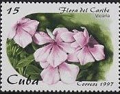 Colnect-1060-770-Vicaria-Catharanthus-roseus.jpg