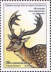 Colnect-1103-116-Dybowski--s-Sika-Deer-Cervus-nippon-hortulorum.jpg