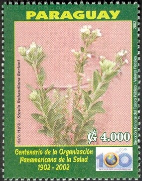 Colnect-1300-533-Stevia-rebaudiana-bertoni.jpg