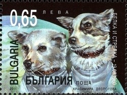 Colnect-1389-995-Belka-and-Strelka-1960-.jpg