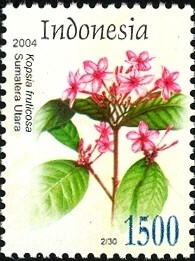 Colnect-1586-552-Flora---Kopsia-fruticosa.jpg