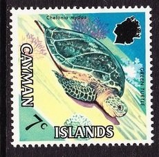 Colnect-1668-981-Green-Sea-Turtle-Chelonia-mydas.jpg