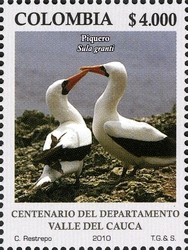 Colnect-1701-590-Nazca-Booby-Sula-granti-.jpg