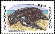 Colnect-2363-308-Leatherback-Sea-Turtle-Dermochelys-coriacea.jpg