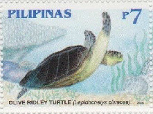 Colnect-2881-704-Olive-Ridley-Sea-Turtle-Lepidochelys-olivacea.jpg