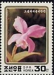 Colnect-2924-285-Cattleya-intermedia--Oculata-.jpg