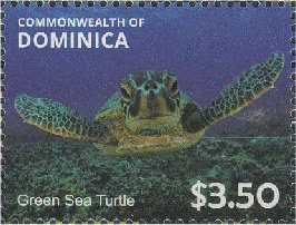 Colnect-3276-010-Green-Sea-Turtle-Chelonia-mydas.jpg