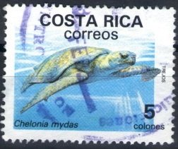 Colnect-3588-826-Green-Sea-Turtle-Chelonia-mydas.jpg